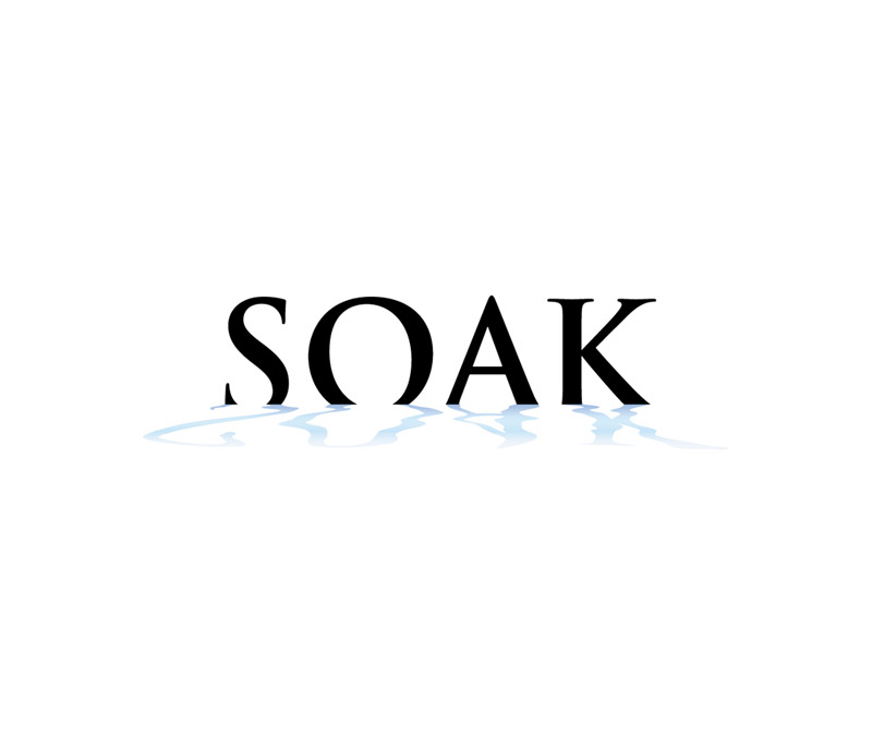 Soak Company Logo